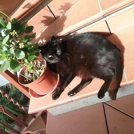 Relax Apartman Terni