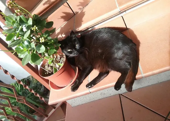 Relax Apartmán Terni